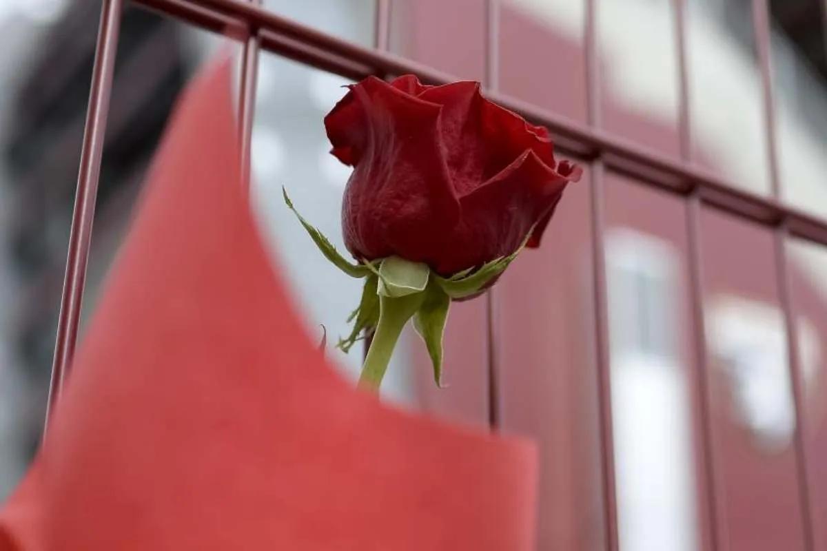 Calcio italiano sotto choc: terribile notizia per il tecnico