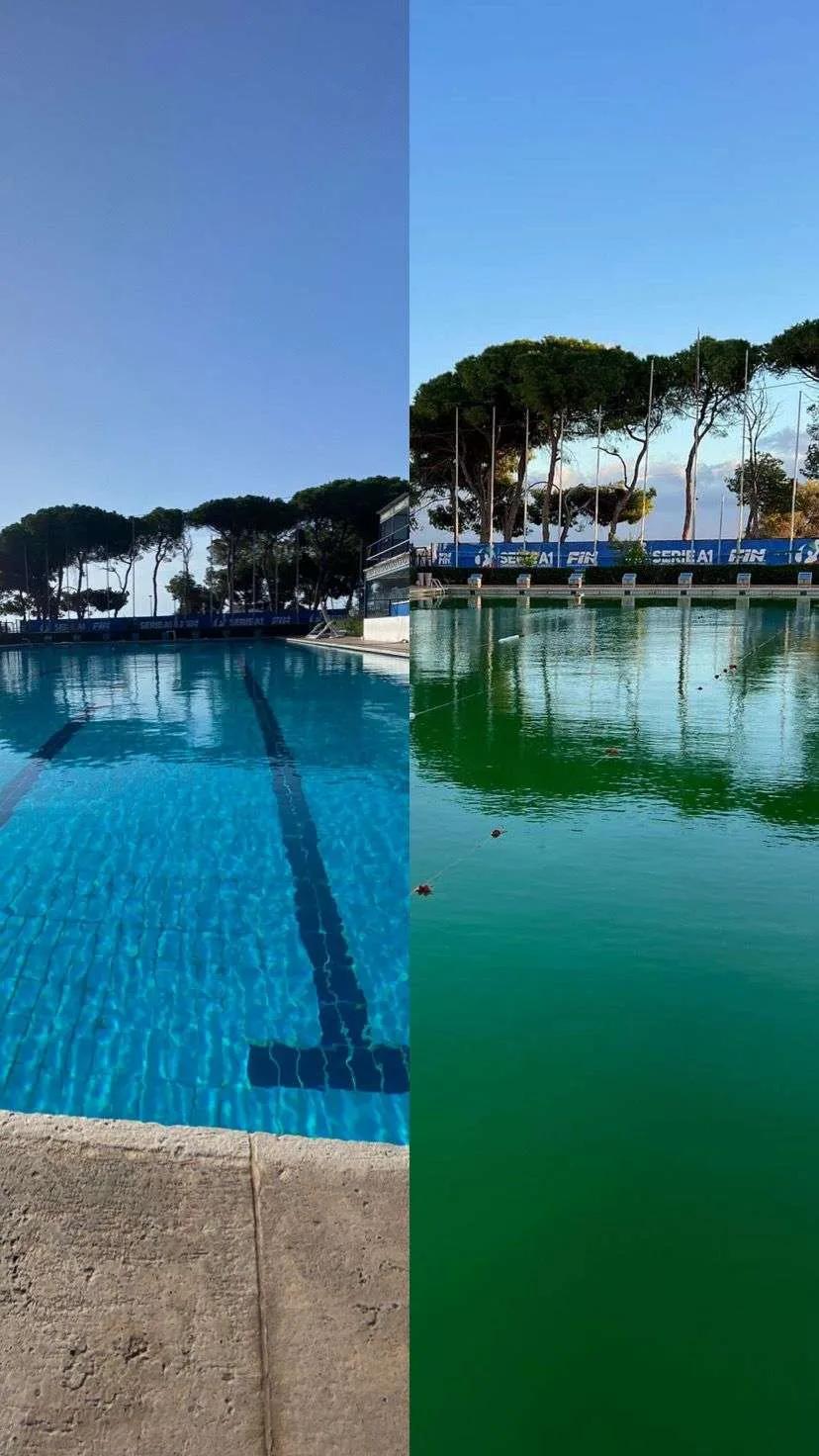 L’Editoriale. Le scuse tardive non sono accettate, trattateci da sportivi e non da imbecilli