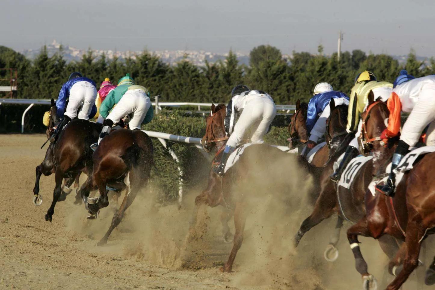 Ippica, Ippodromo del Mediterraneo: tra i giovanissimi spicca Magica Grazia