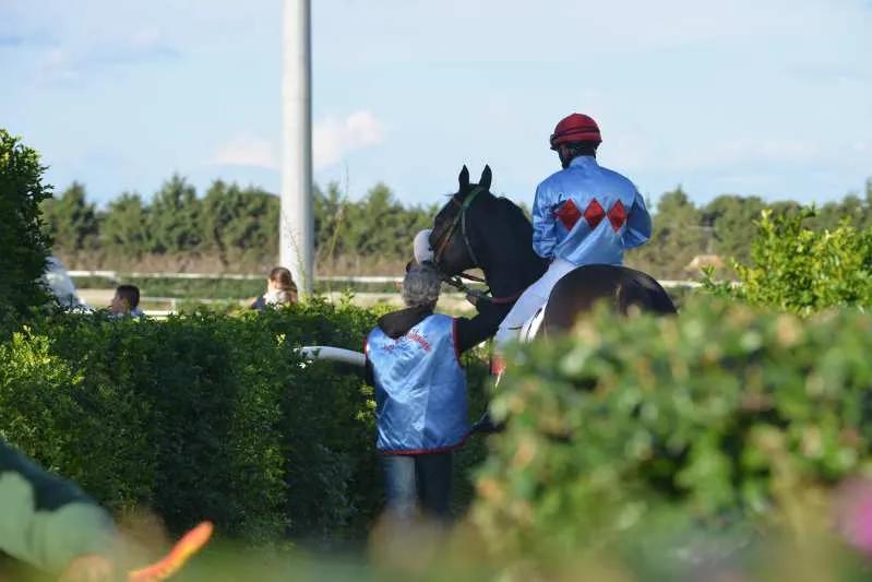 Siracusa Ippica, Ippodromo del Mediterraneo: sabato di galoppo con due condizionate.