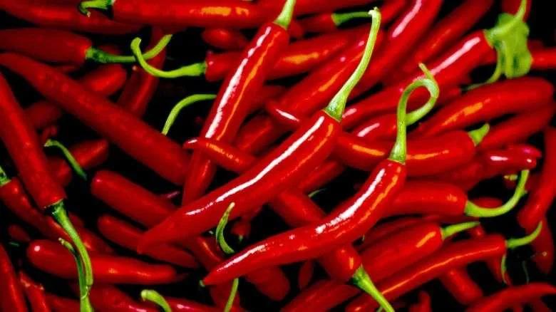 Rubrica Benessere, 10 alimenti che accelerano il metabolismo