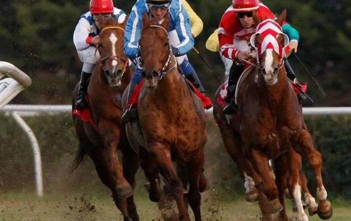 Ippica, Tundrast e Camden Zac: meritato successo all’Ippodromo del Mediterraneo
