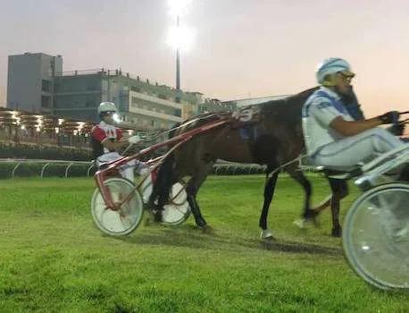 Siracusa Ippica,domani all’Ippodromo del Mediterraneo gli occhi puntati sul “Città di Siracusa”