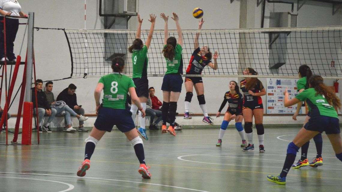 Pallavolo, Serie C: L’Eurialo Siracusa perde a Pedara e retrocede Pallavolo, Serie C: L’Eurialo Siracusa perde a Pedara e retrocede