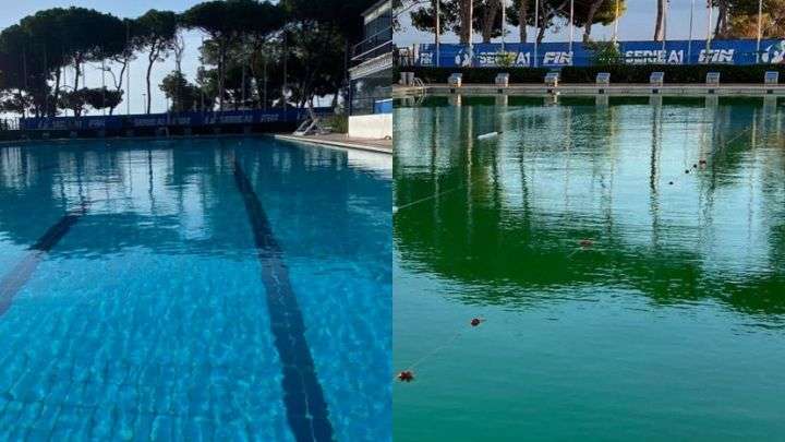 L’Editoriale. Le scuse tardive non sono accettate, trattateci da sportivi e non da imbecilli