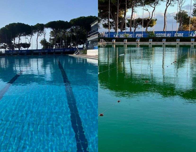 L’Editoriale. Le scuse tardive non sono accettate, trattateci da sportivi e non da imbecilli L’Editoriale. Le scuse tardive non sono accettate, trattateci da sportivi e non da imbecilli
